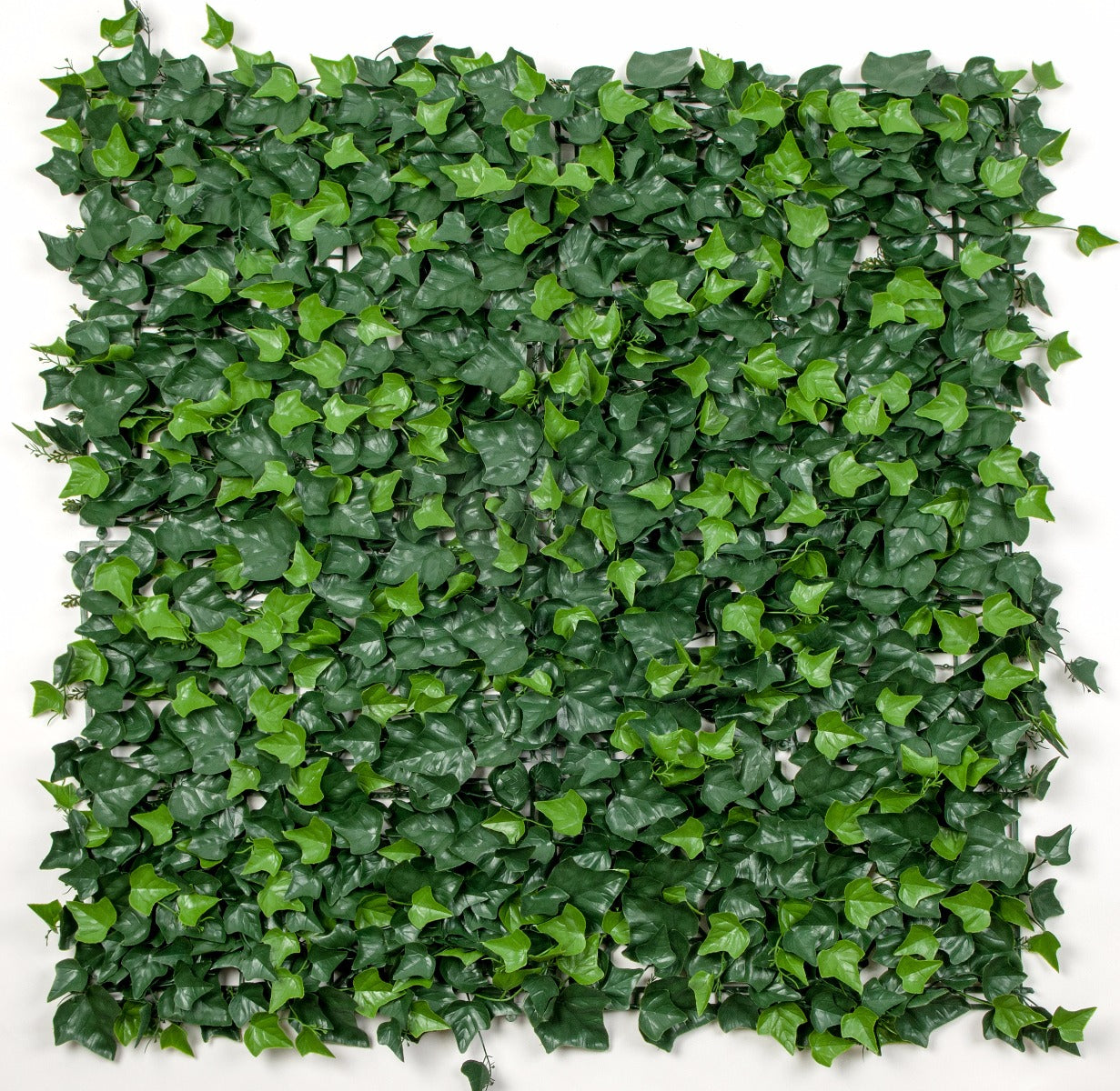 Ivy Leaf Screens / Panels UV Stabilised 1m