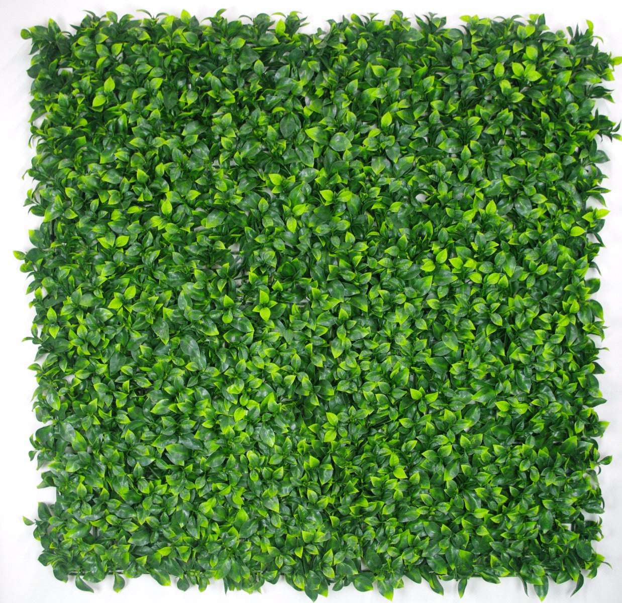 Jasmine Leaf Screens / Panels UV Stabilised 1m
