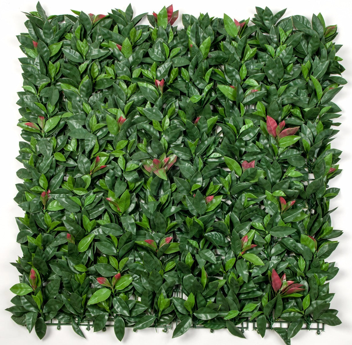 Photinia (Red Robin) Leaf Screens / Panels UV Stabilised 1m