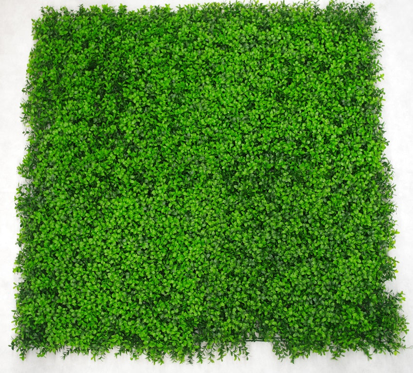 Deluxe Buxus Panels UV Stabilised 1m