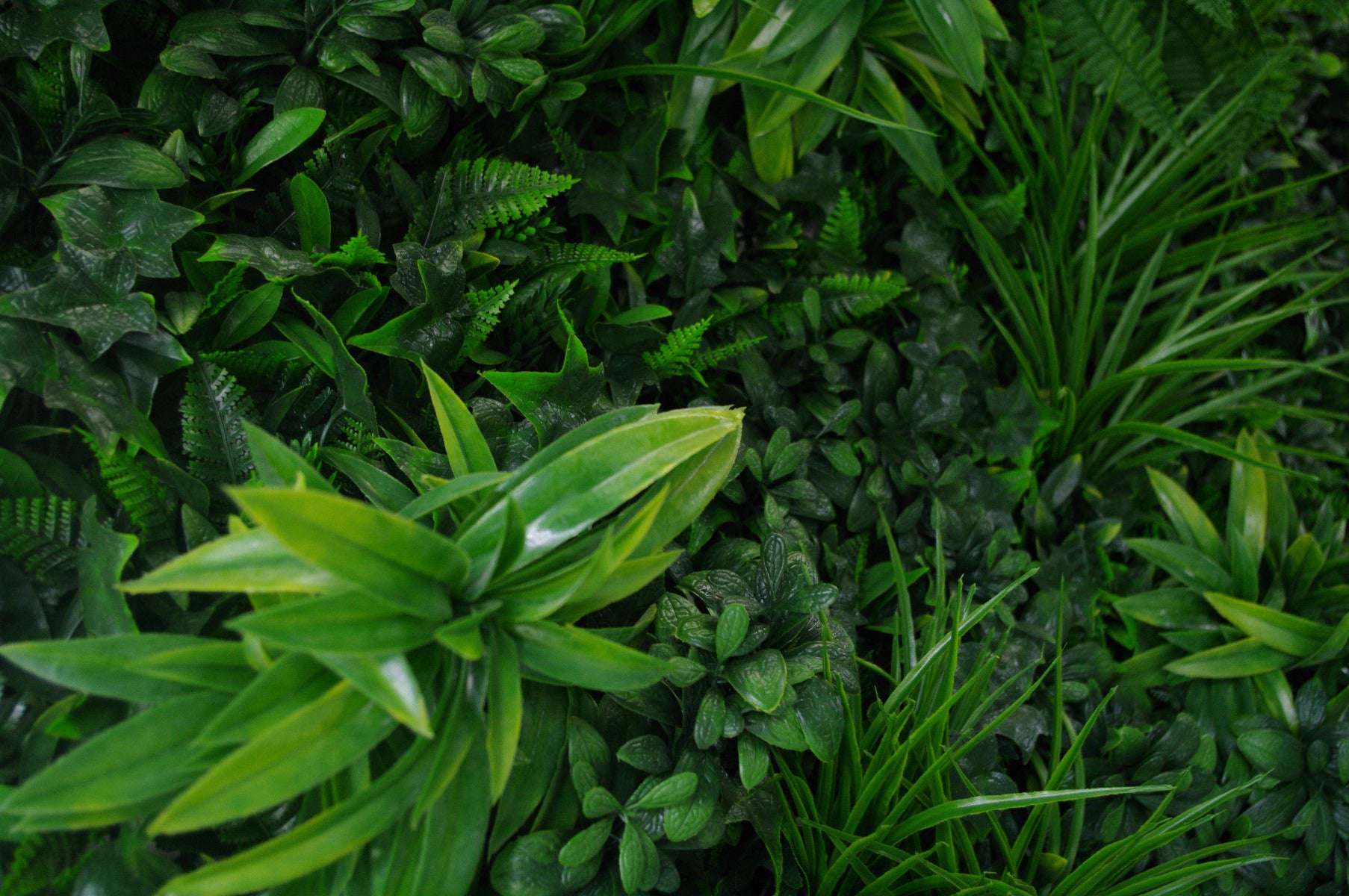 Green Tropics UV Stabilised 1m