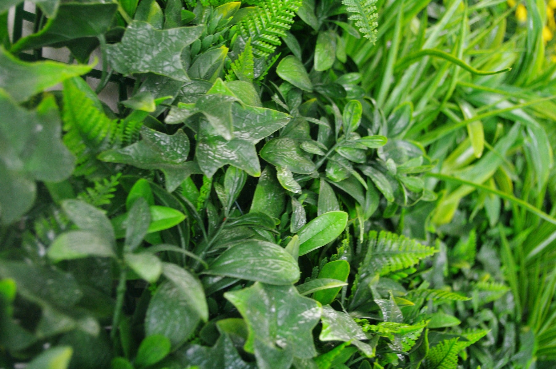 Green Tropics UV Stabilised 1m