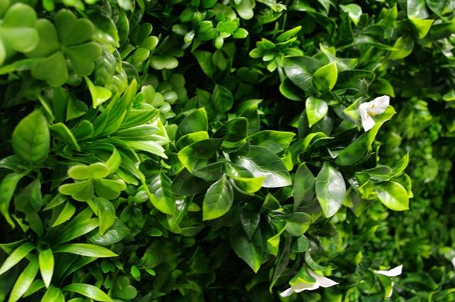 White Oasis Vertical Garden / Green Wall UV Resistant 1m