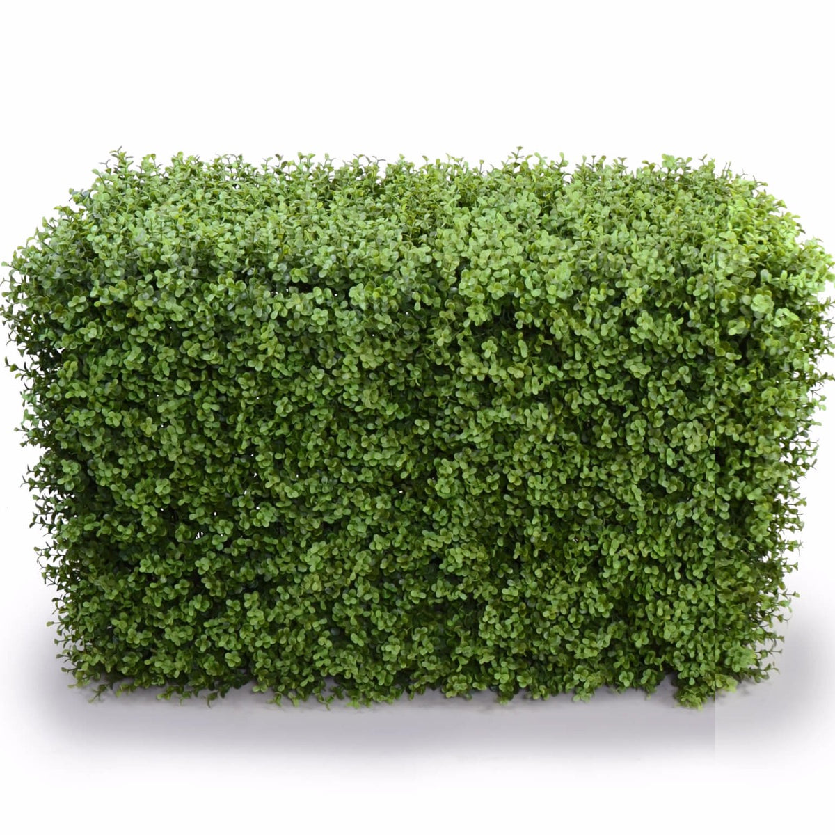 Deluxe Portable Buxus Hedges UV Stabilised 100cm Long X 55cm High ...