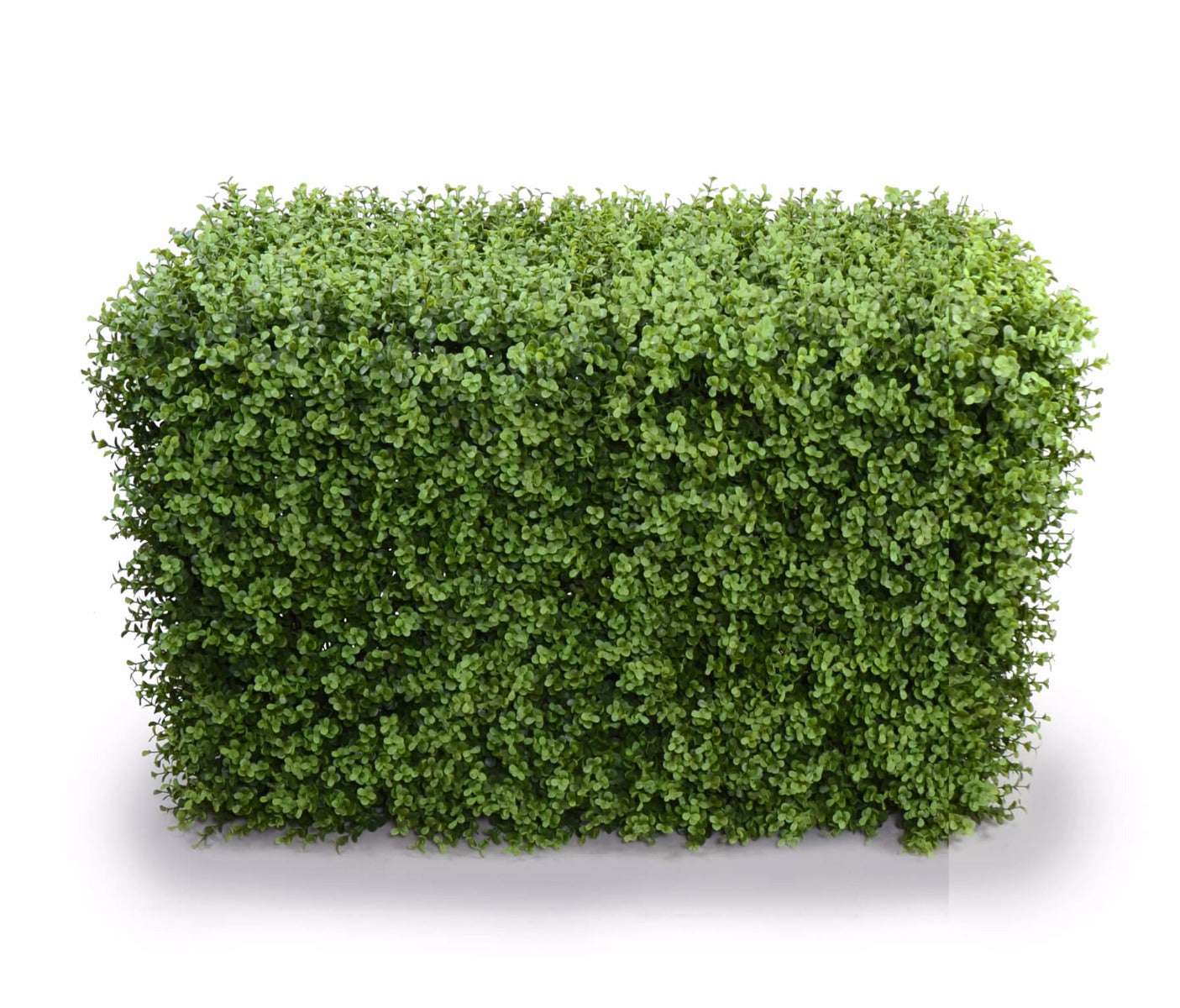 Deluxe Portable Buxus Hedges UV Stabilised 100cm Long