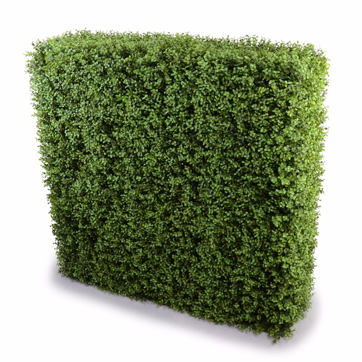Deluxe Portable Buxus Hedges UV Stabilised 100cm Long