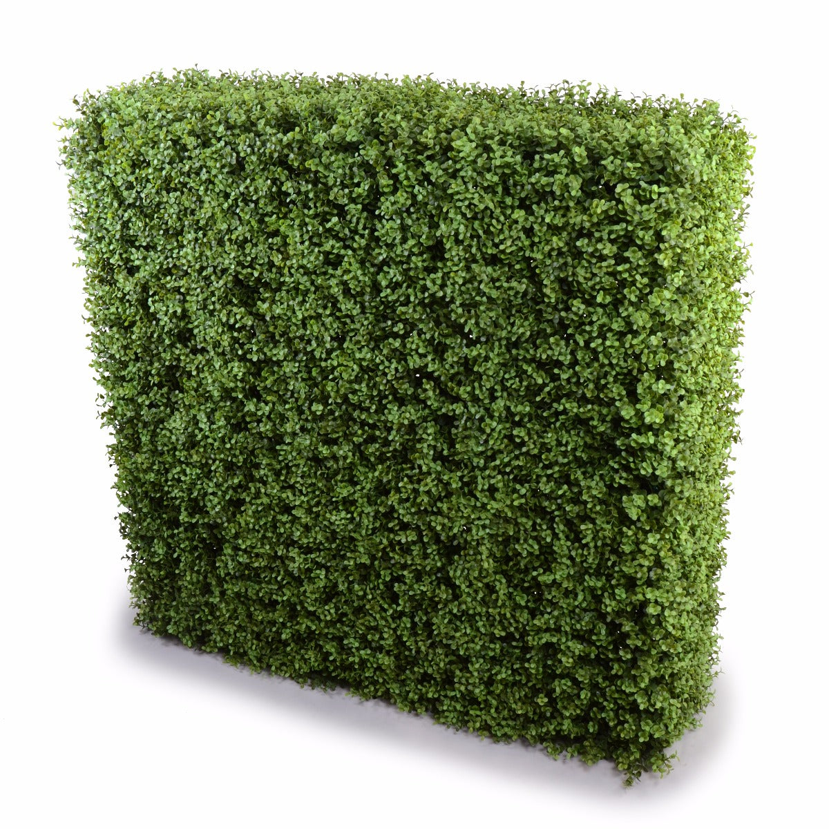 Deluxe Portable Buxus Hedges UV Stabilised 150cm Long