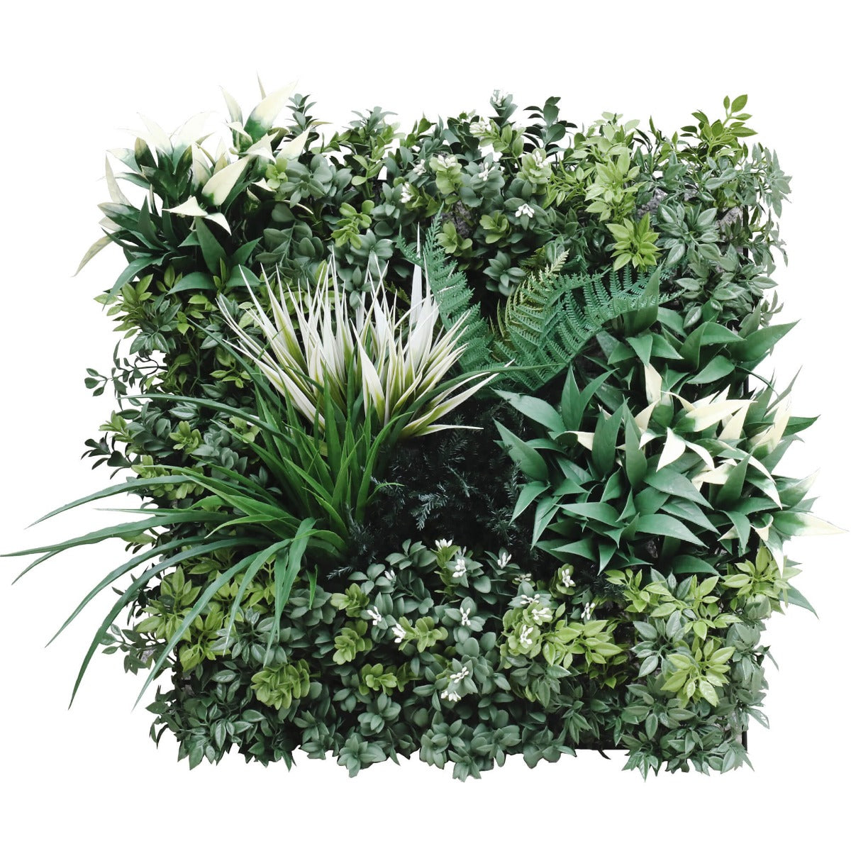 Bespoke Vertical Garden Green Wall UV Resistant SAMPLE 45cm