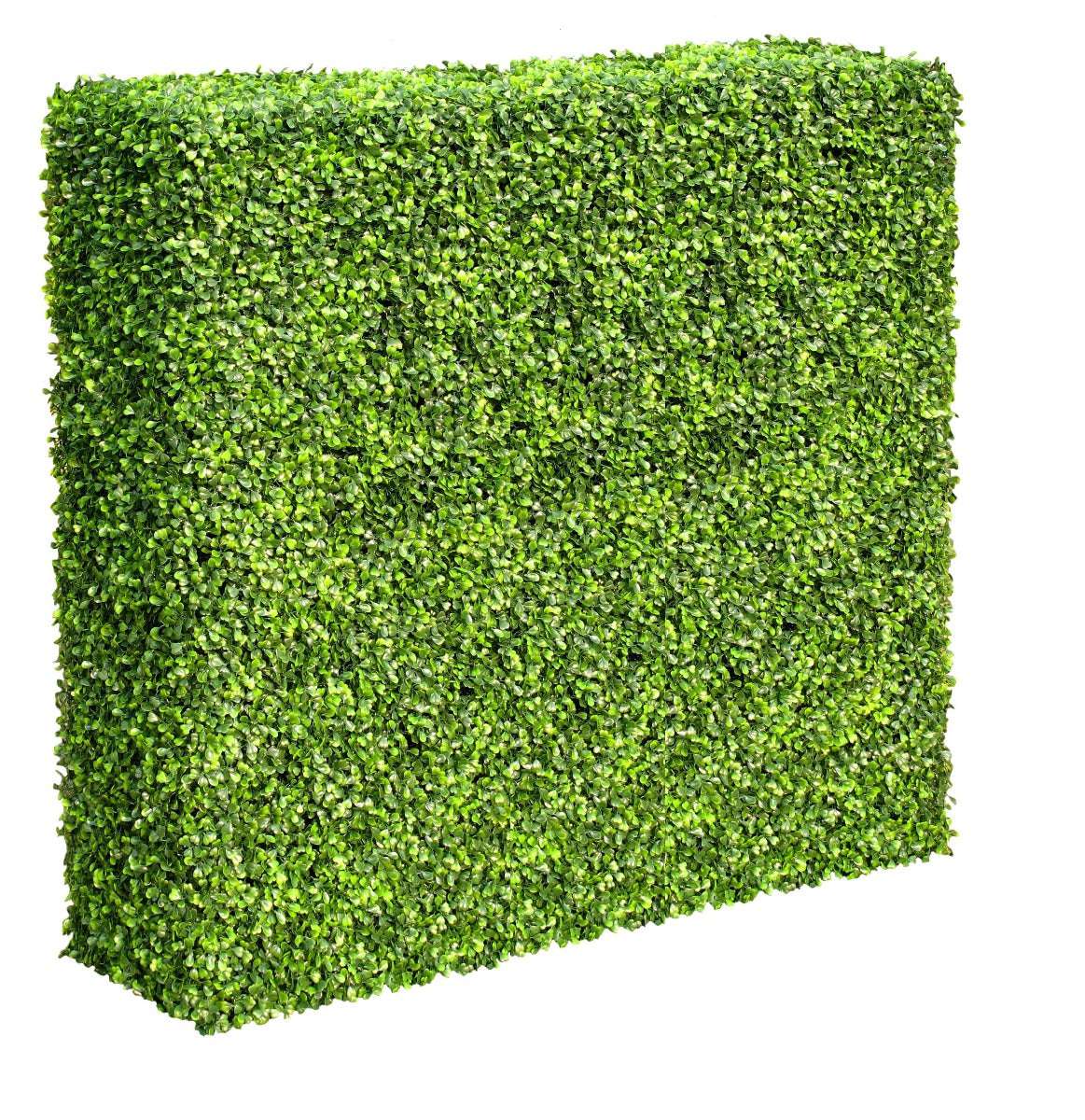 Mixed Boxwood Hedge UV Resistant 100cm Long