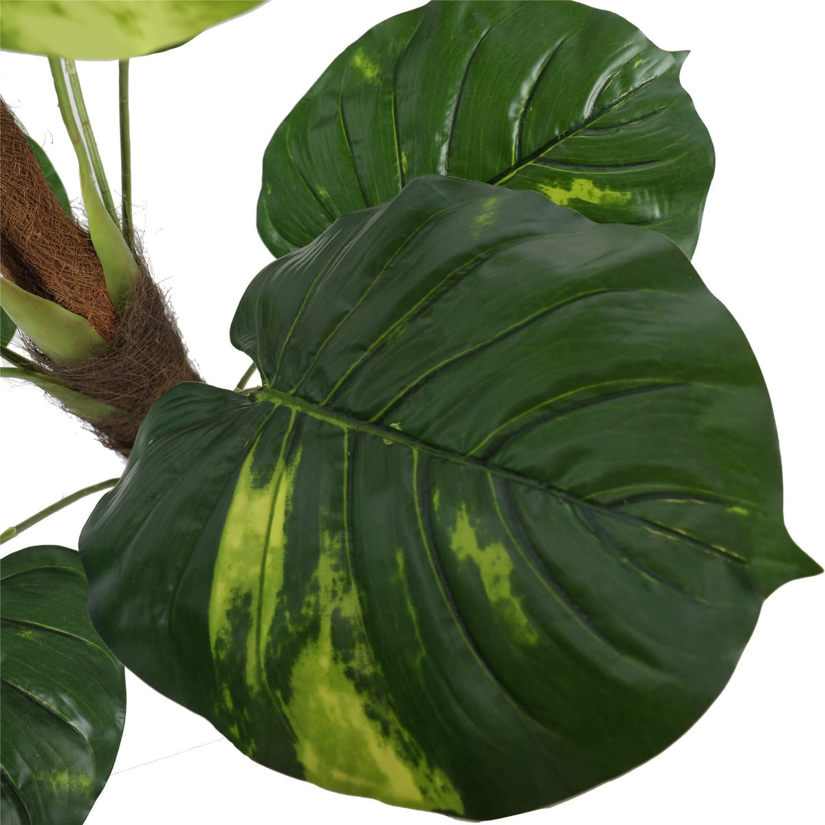Artificial Potted Pothos Plant