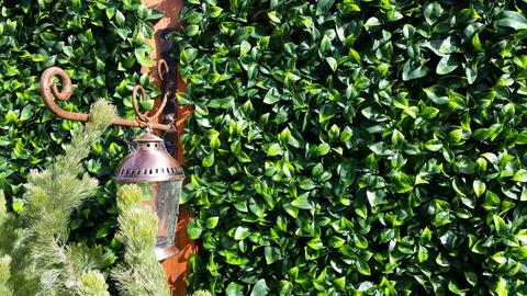 Jasmine Leaf Screens / Panels UV Stabilised 1m