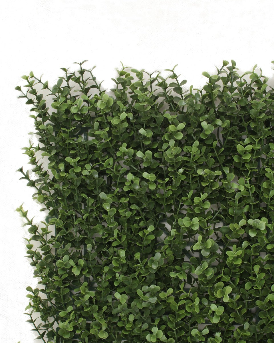 Premium Natural Buxus Hedge Panels UV Resistant 1m