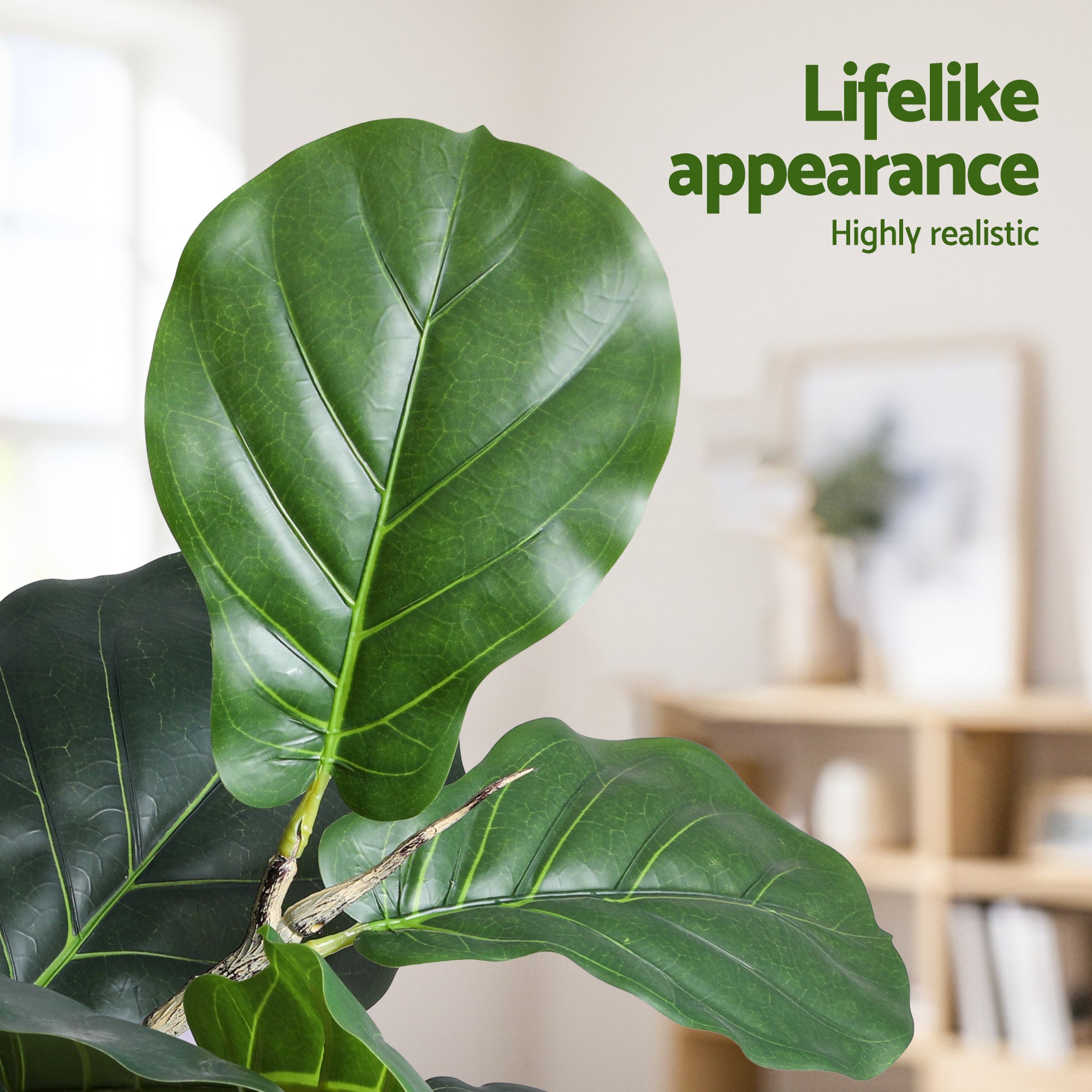Artificial fiddle leaf fig leaves with prominent veins on an artificial branch