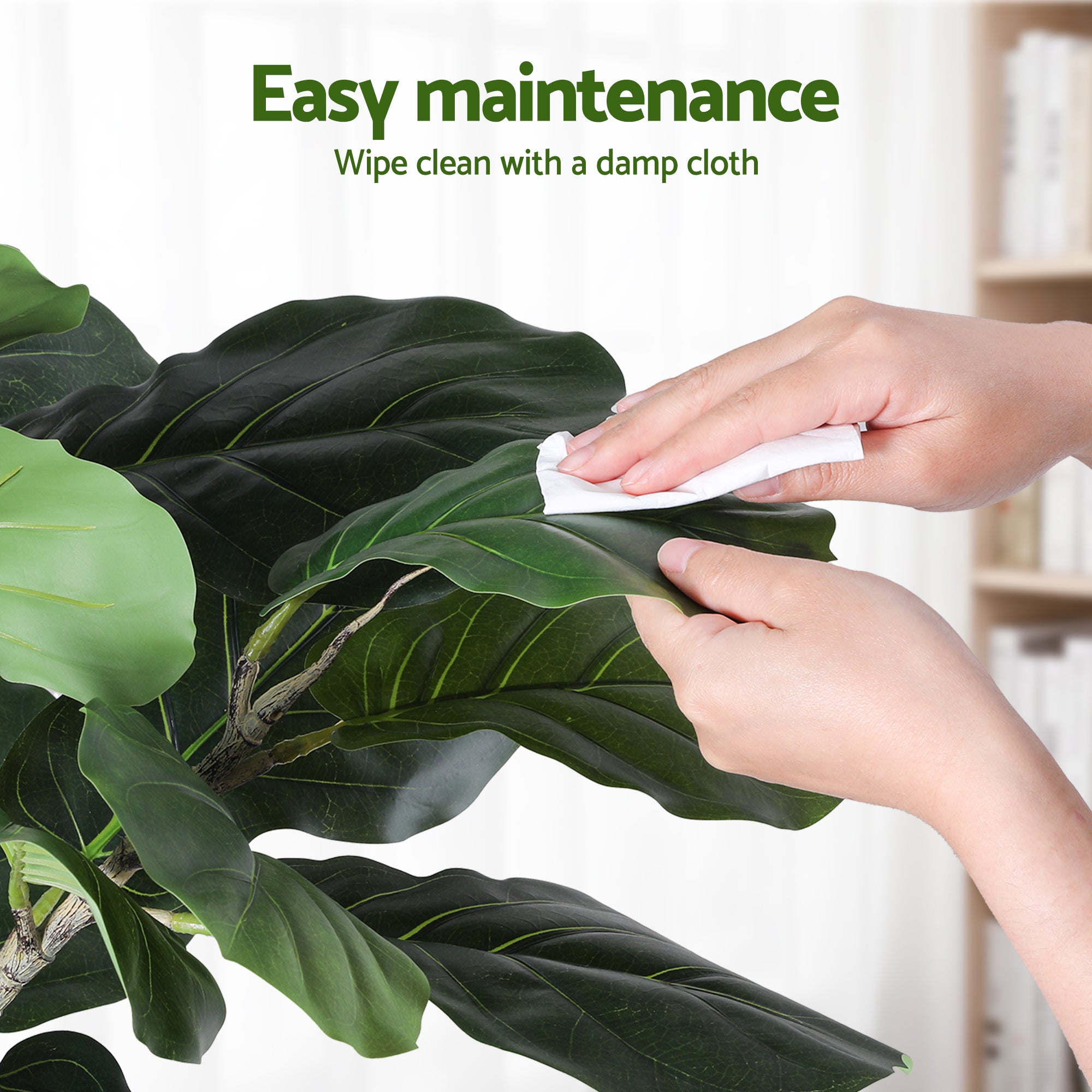 Artificial fiddle leaf tree leaves, wiped by hand for easy maintenance