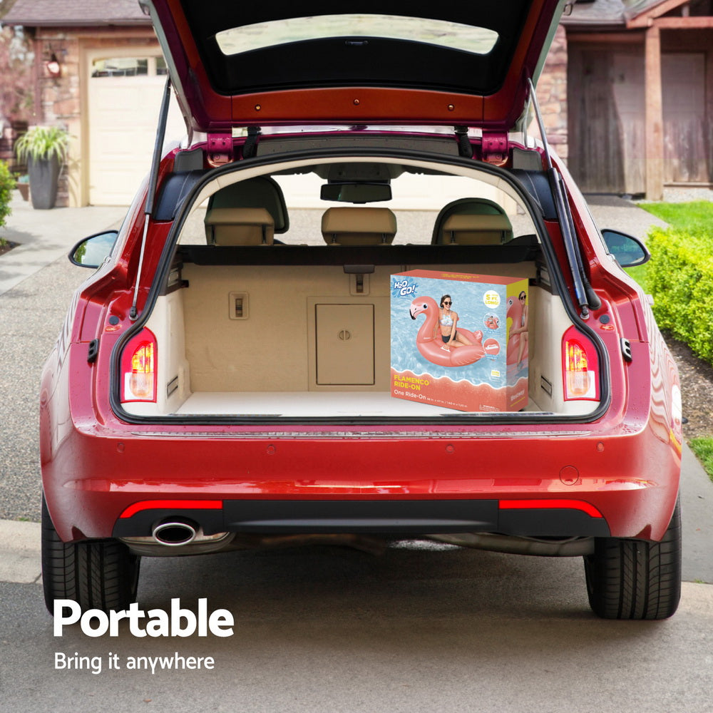 Bestway Flamingo Float Rider Inflatable Ride On Floating Pool Lounger 148x127CM