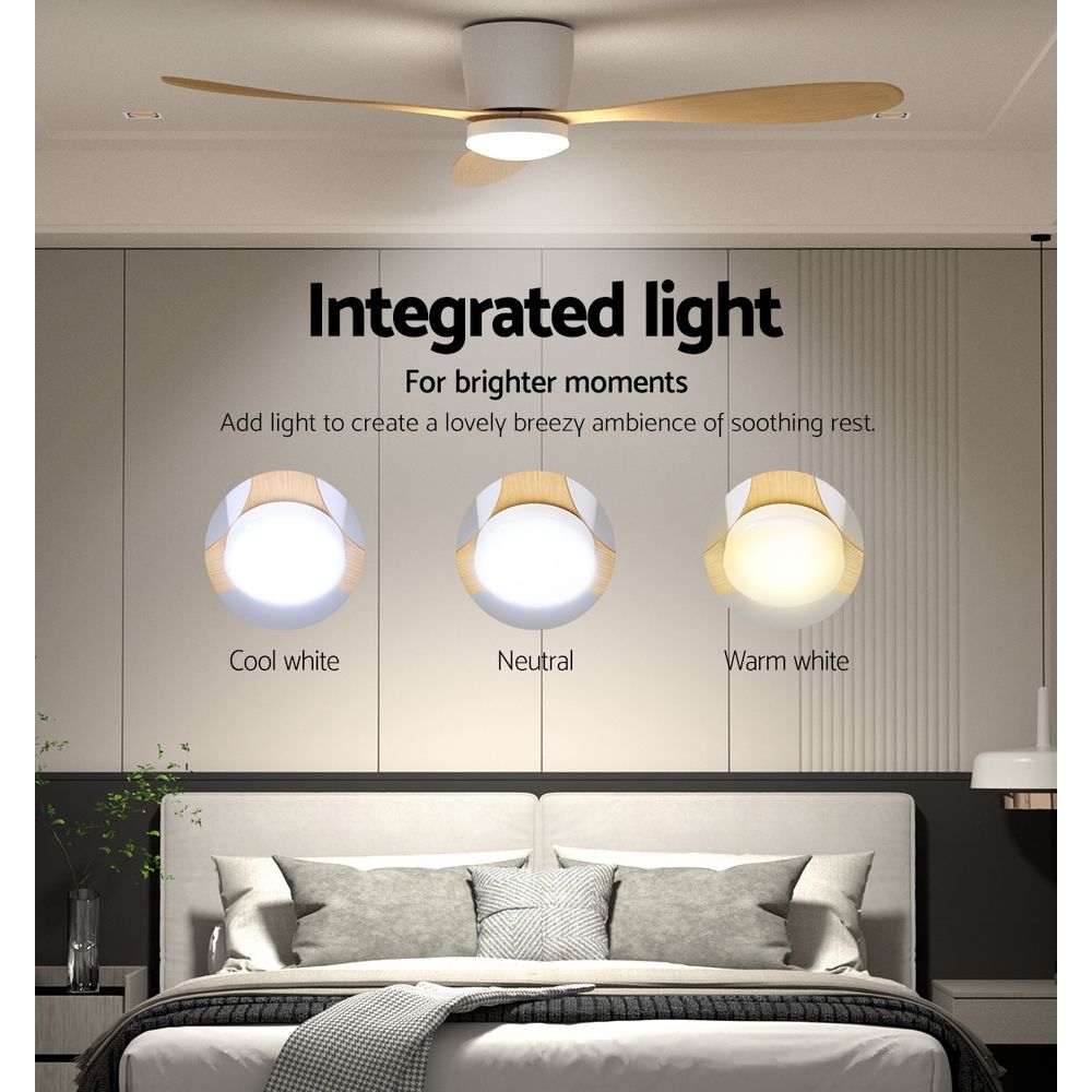 Ceiling fan with integrated light, light wood blades and bright white light bulbs.