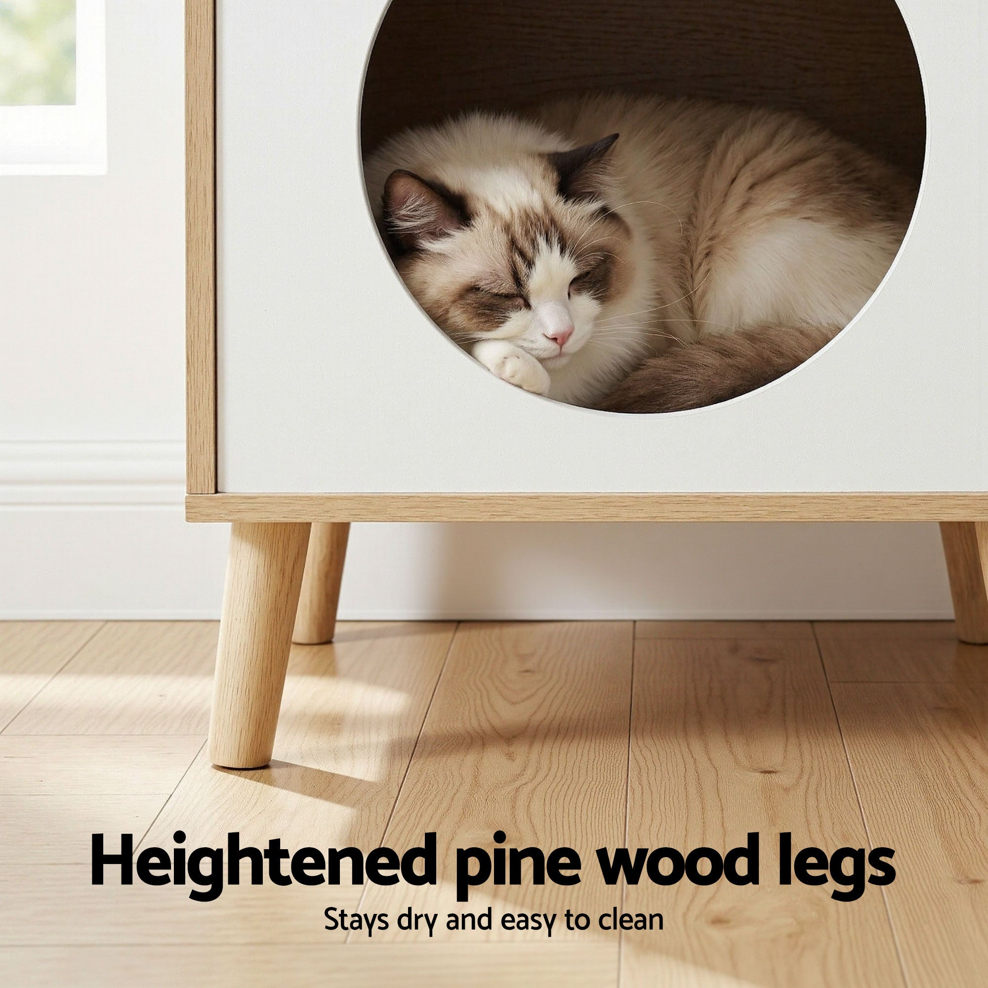 Cat face seen through round opening in white cat nest bedside table front panel.