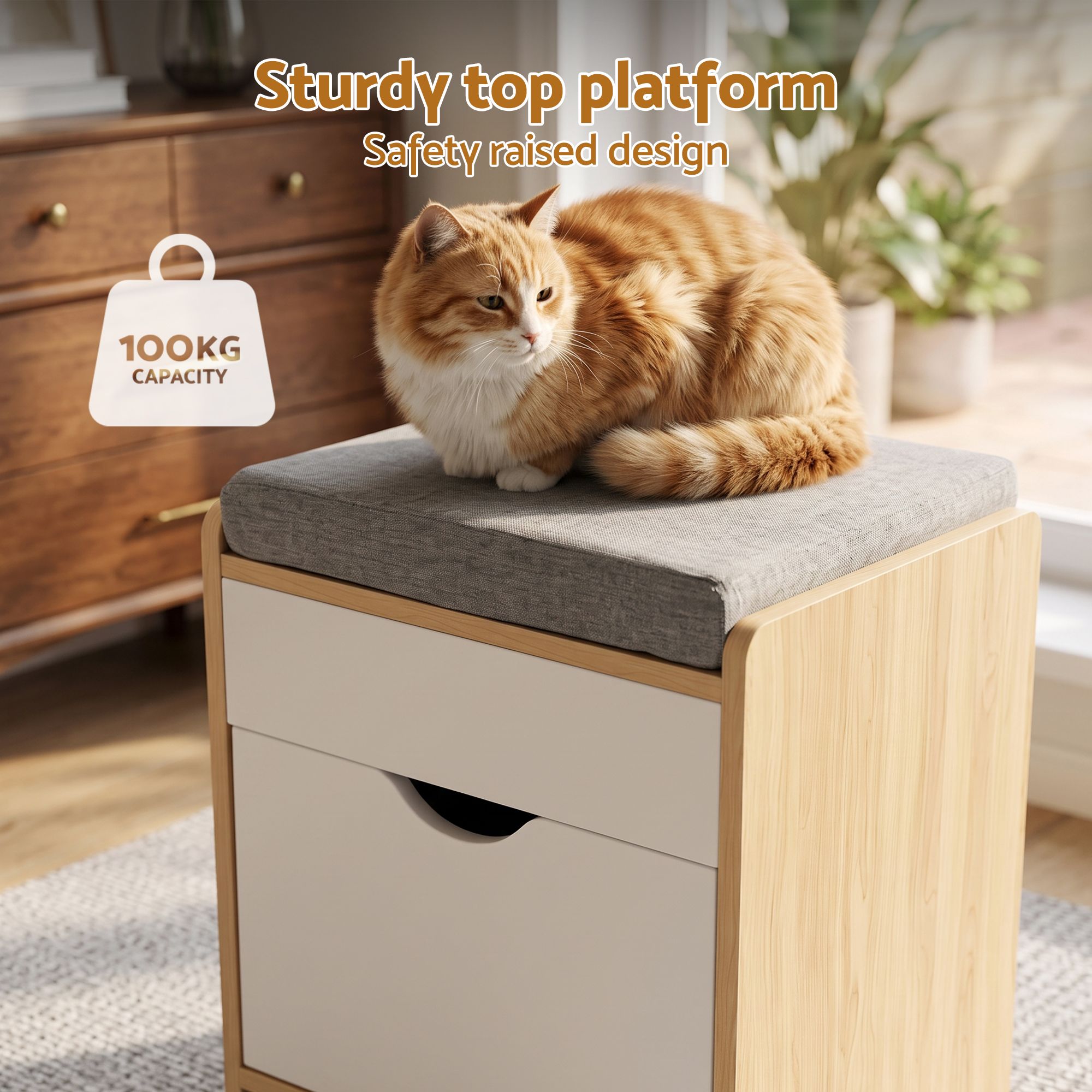 Artiss Storage Ottoman with Drawer 100kg Capacity Footrest Cushion Pine Bedworld