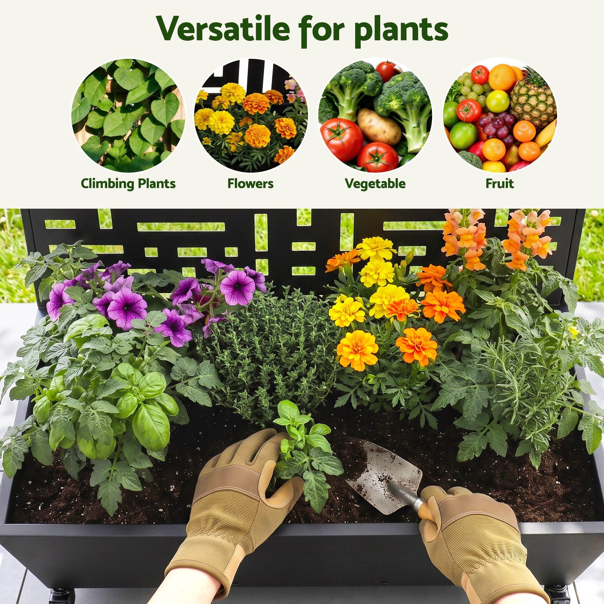 Green Fingers Mobile Planter Box Garden Bed with Trellis Privacy Screen & Lockable Wheels for Climbing Plants Bedworld