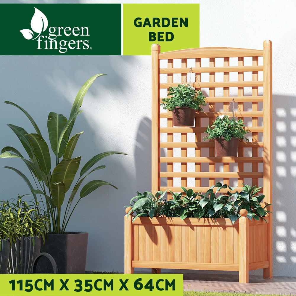 Wooden raised planter box with trellis lattice and three potted plants