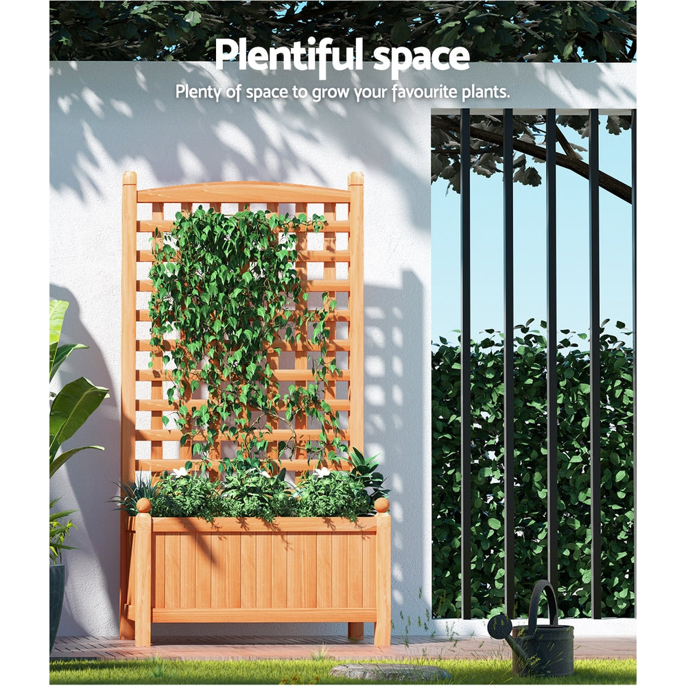 Wooden raised garden planter with trellis lattice filled with leafy plants