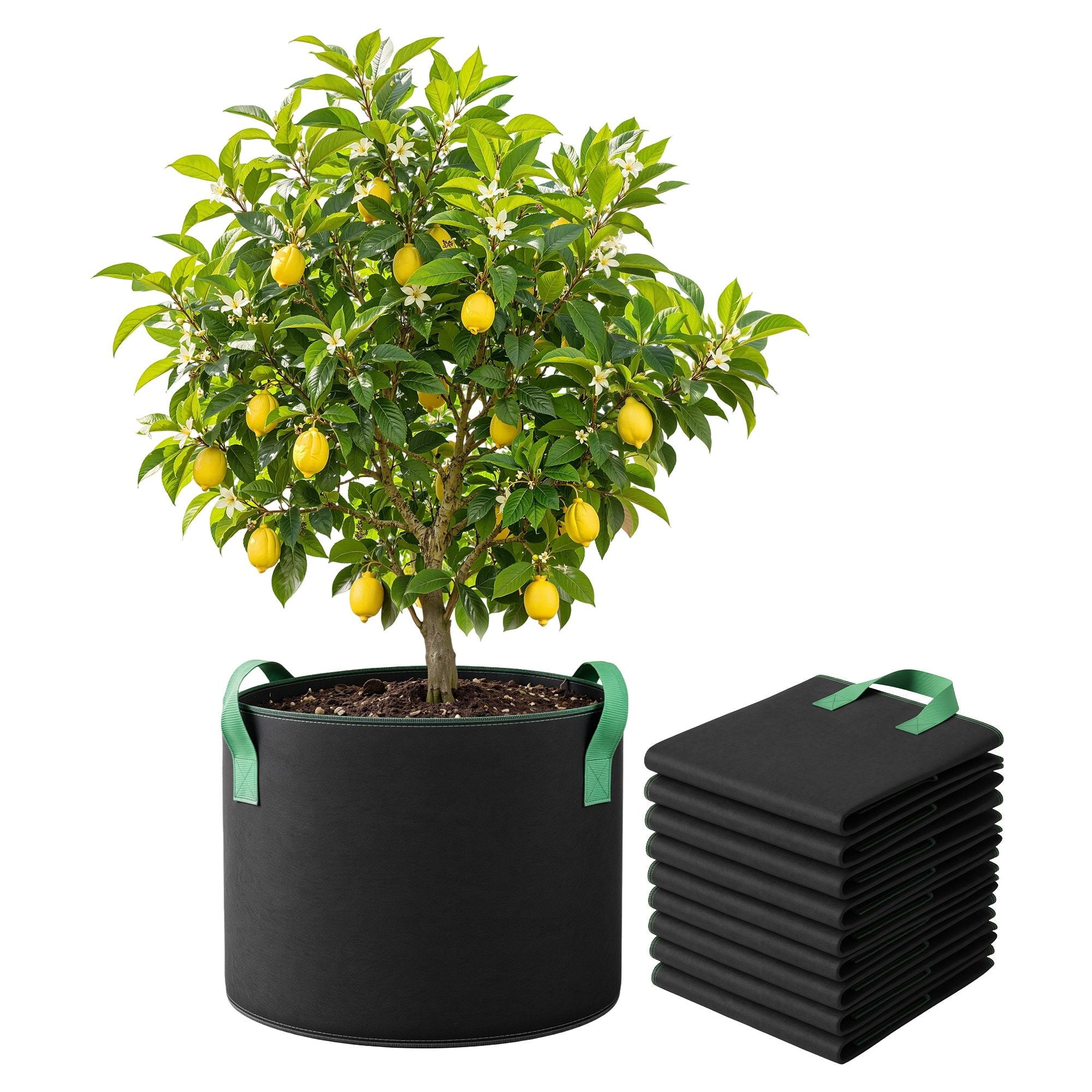 Green Fingers 20 Gallon Grow Bags 300gsm thick Aeration Fabric Pots 10 Pack Bedworld