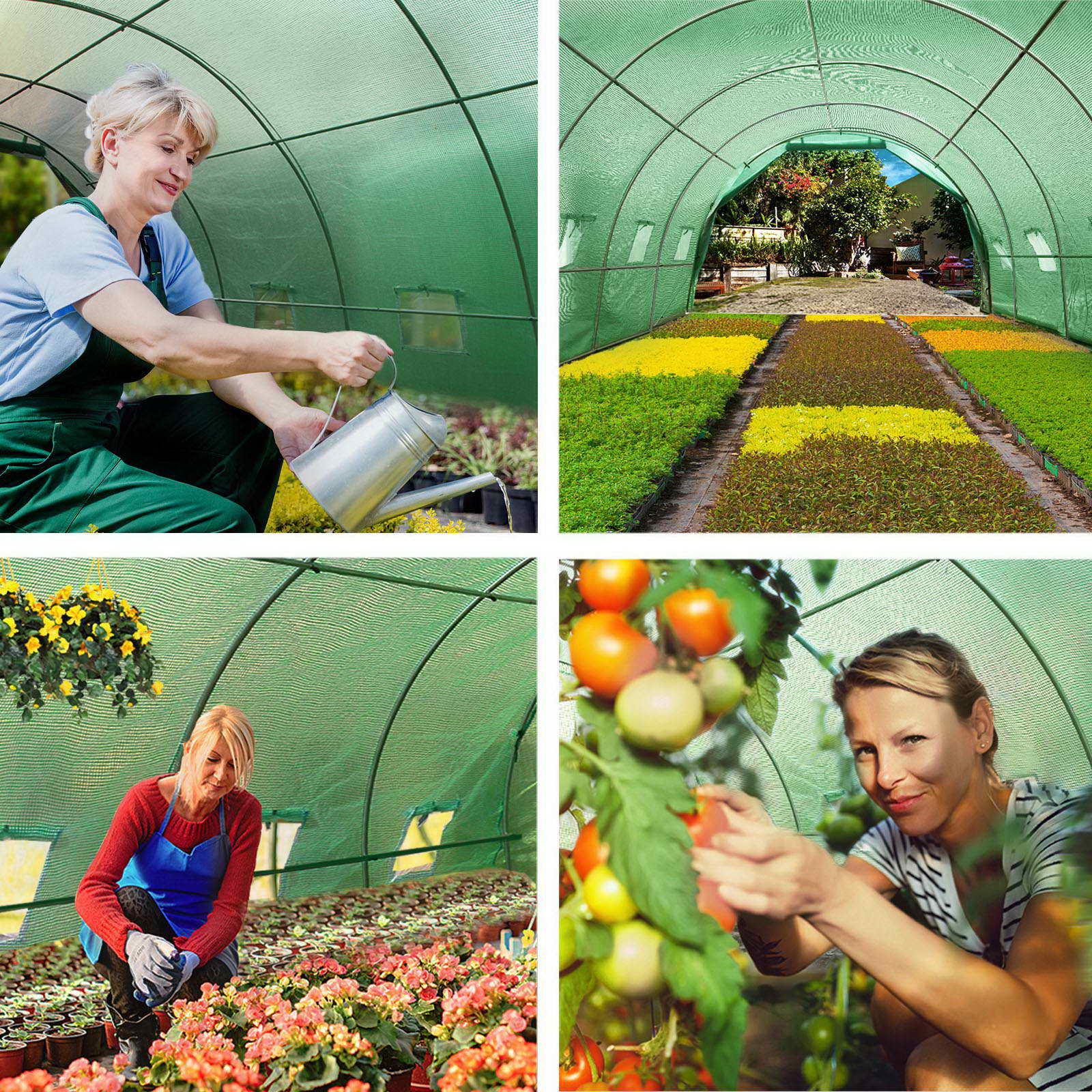 Greenfingers Greenhouse 6x3x2M Walk in Green House Tunnel Plant Garden Shed Dome