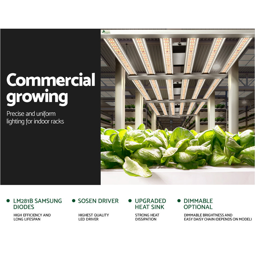 Indoor commercial LED grow light fixture with vertical bars above leafy greens