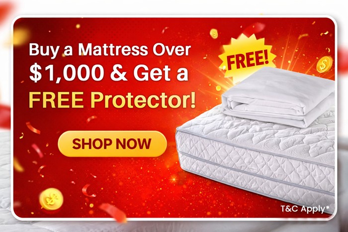 Buy a mattress over $1,000 and get a free mattress protector offer