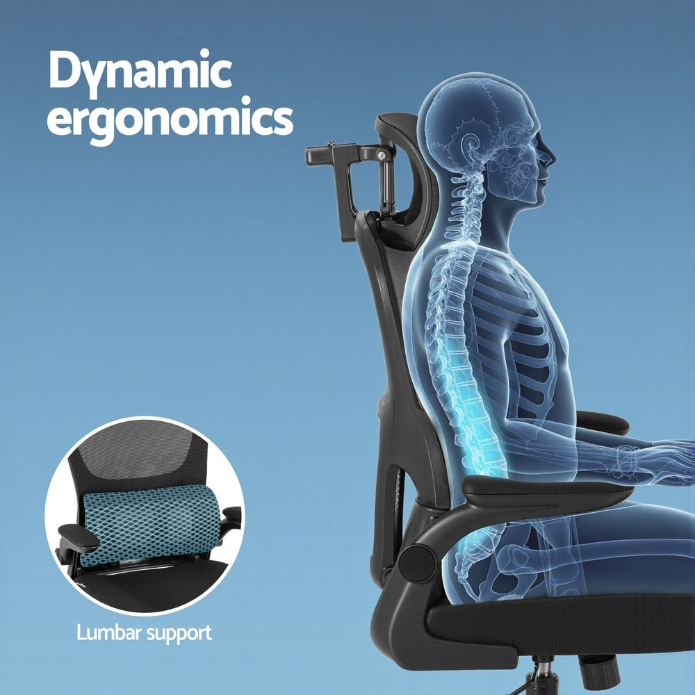 Ergonomic office chair with breathable mesh back and built-in lumbar support
