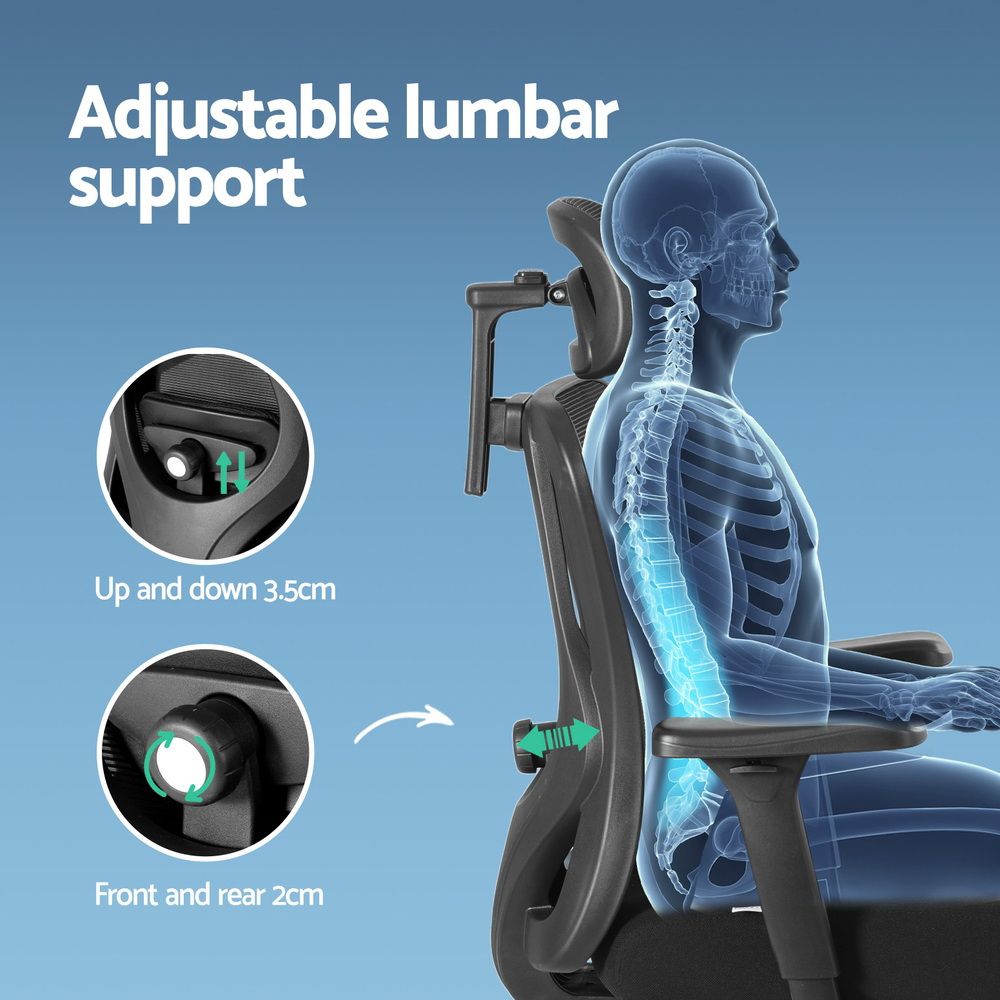 Black ergonomic mesh office chair with adjustable lumbar support, padded seat, and armrests