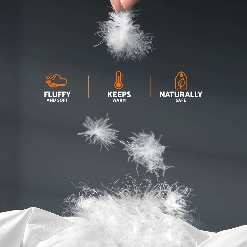 Giselle Bedding 800GSM Goose