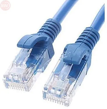 Blue RJ45 Ethernet patch cable with two clear connector ends, 1m length