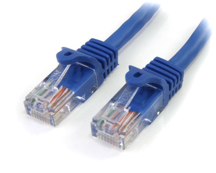 Blue RJ45 Ethernet patch cable with two RJ45 plugs, clear contacts visible