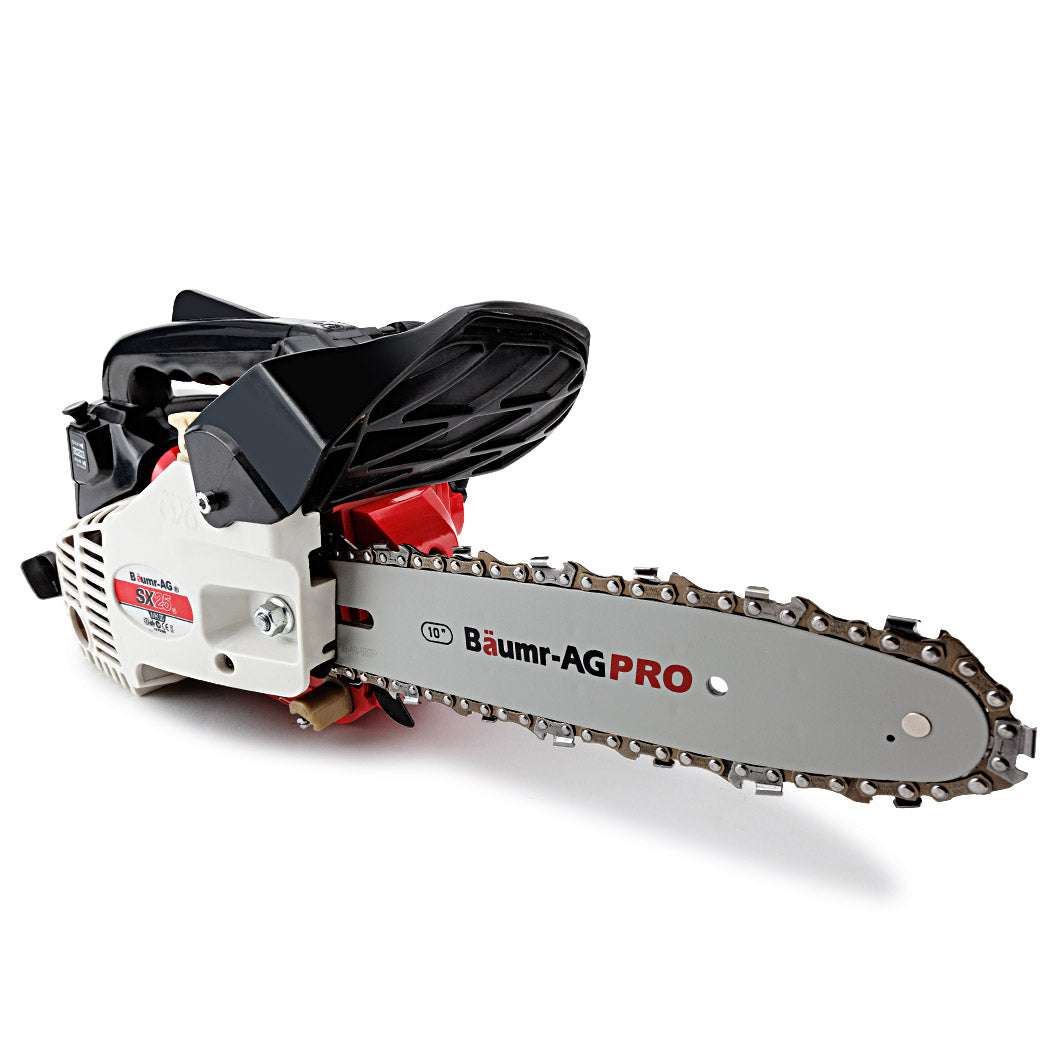 Baumr-AG 25CC Petrol Chainsaw Arborist 10 Bar Tree Pruning Garden Chain