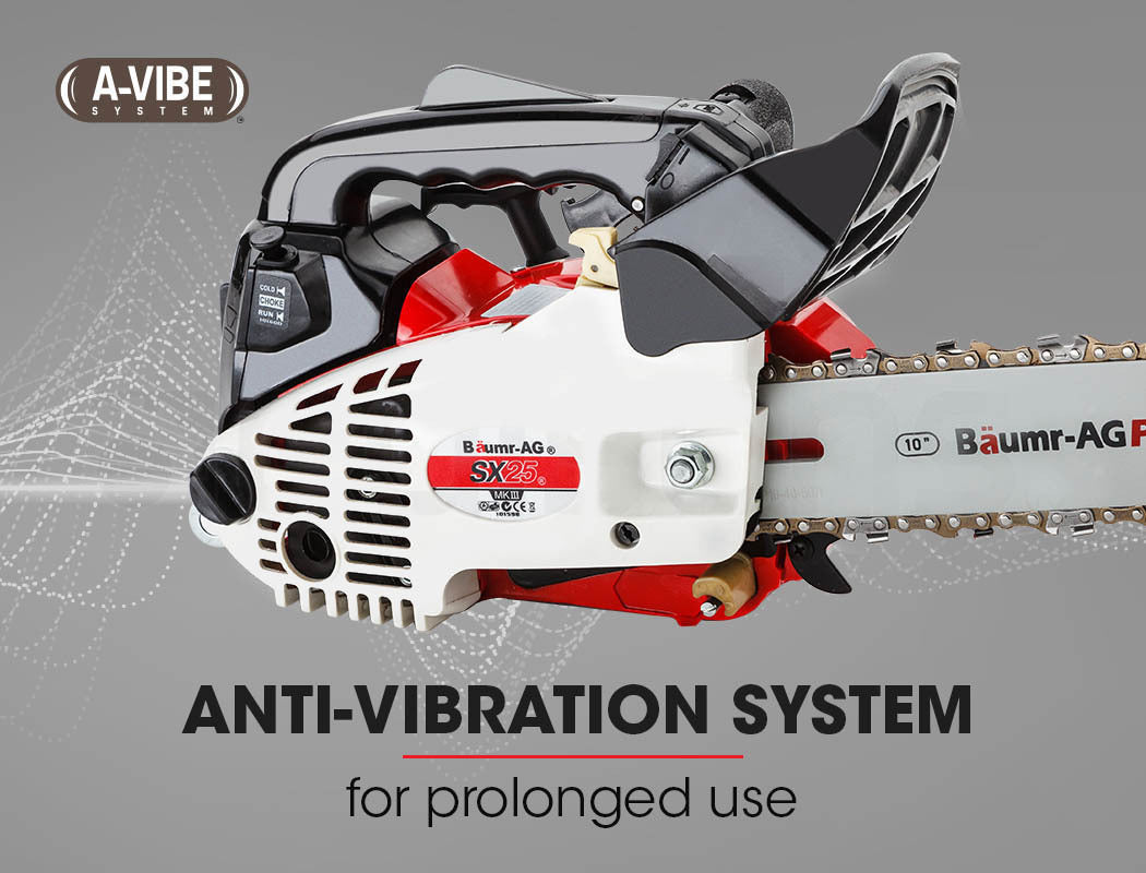 Baumr-AG 25CC Petrol Chainsaw Arborist 10 Bar Tree Pruning Garden Chain