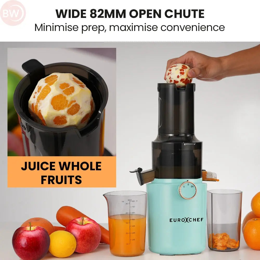Seafoam green cold press juicer with wide open chute and black pulp outlet