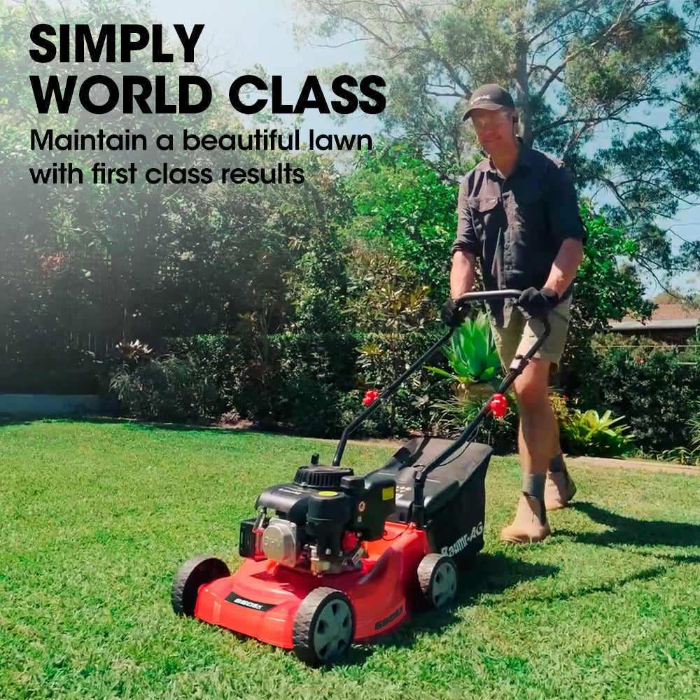 Petrol push lawn mower with rear grass catcher, shown cutting a lawn.