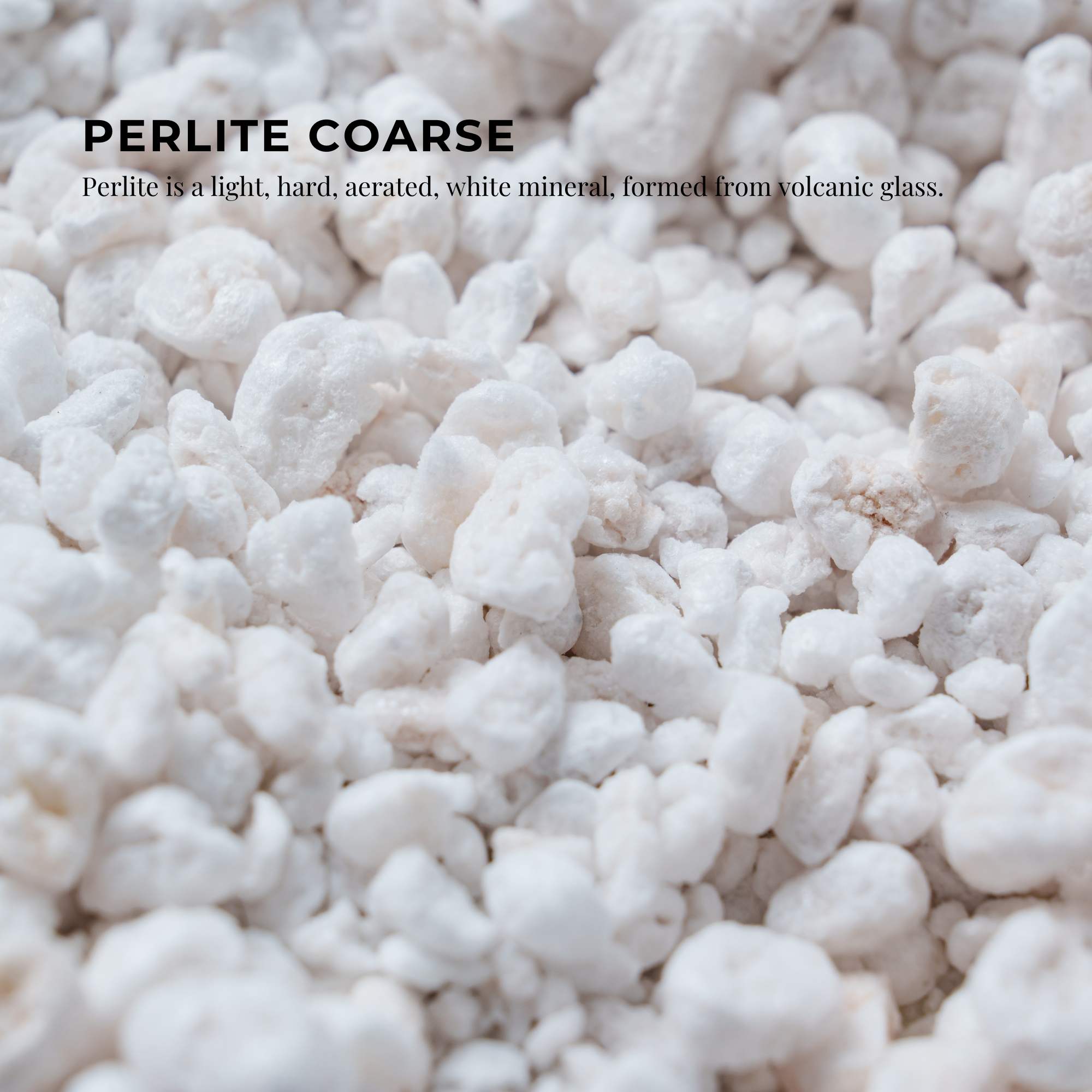 Close-up of coarse white perlite mineral granules