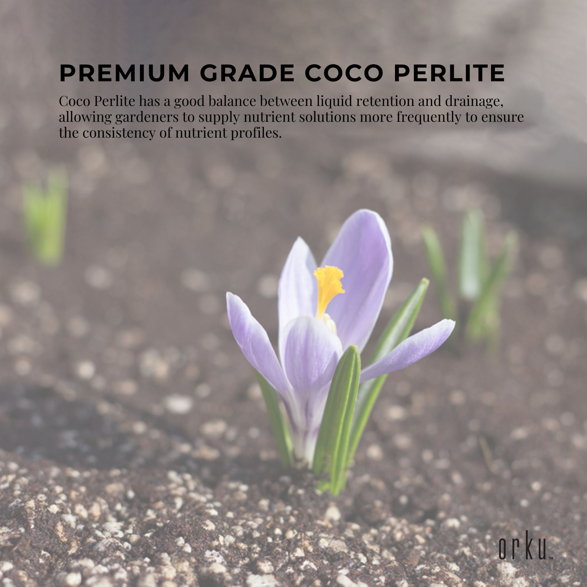 Soil and coco perlite mix with purple flower blooming in dark growing medium