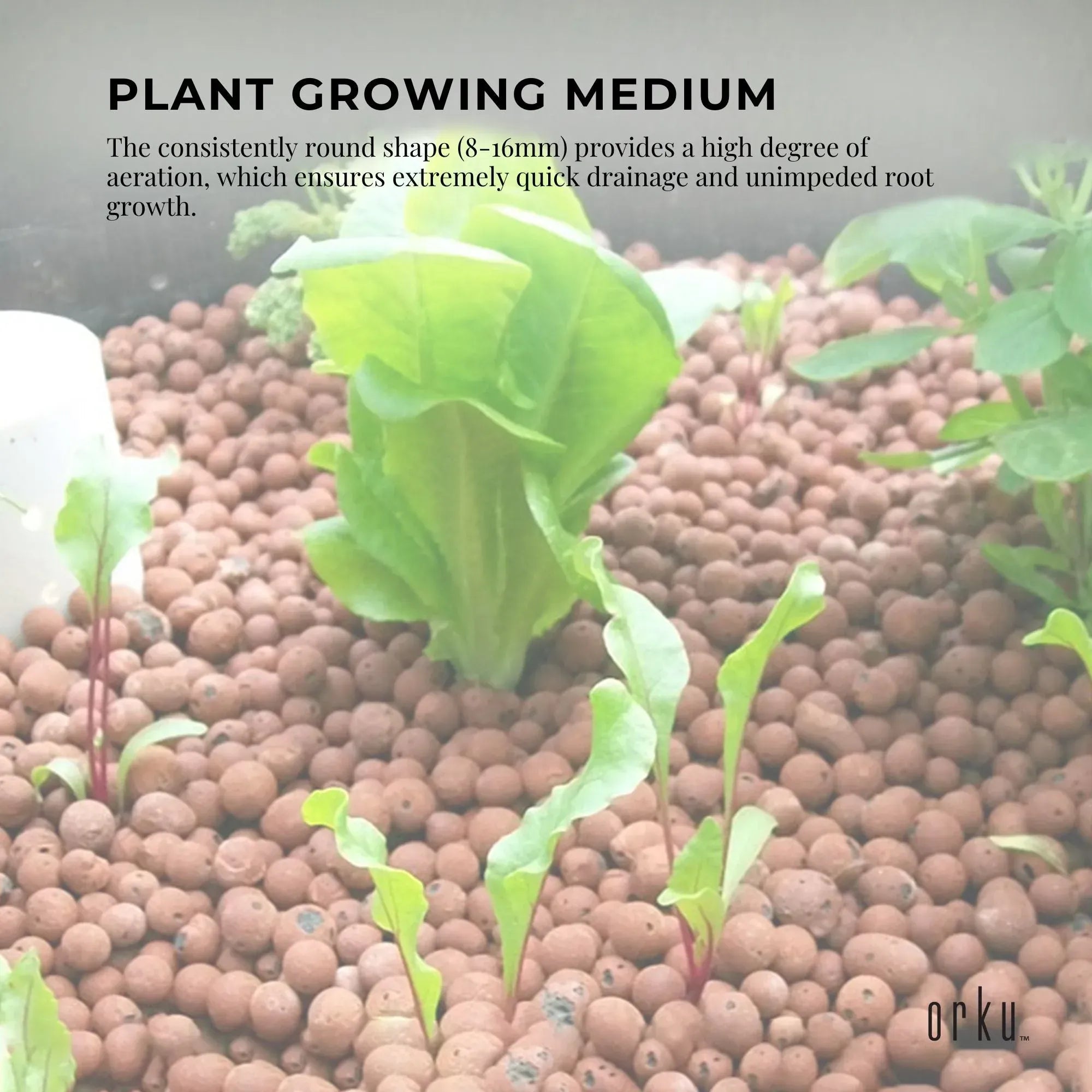 Hydro clay balls plant growing medium with small seedlings and round pellets