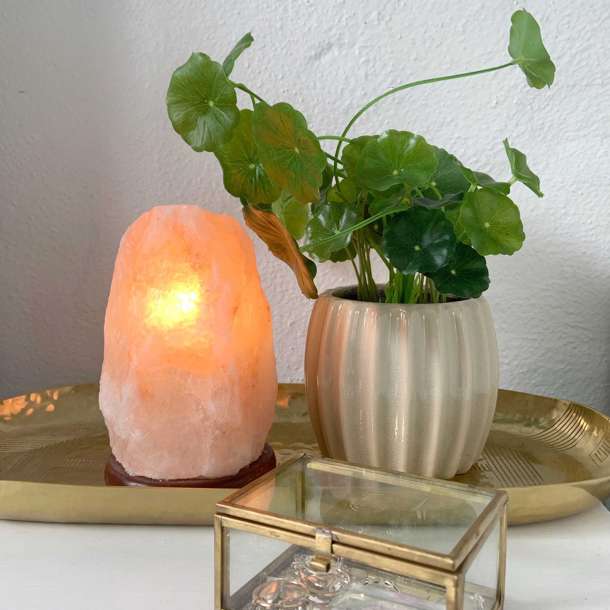 Pink Himalayan salt lamp glowing on a side tray beside potted plants