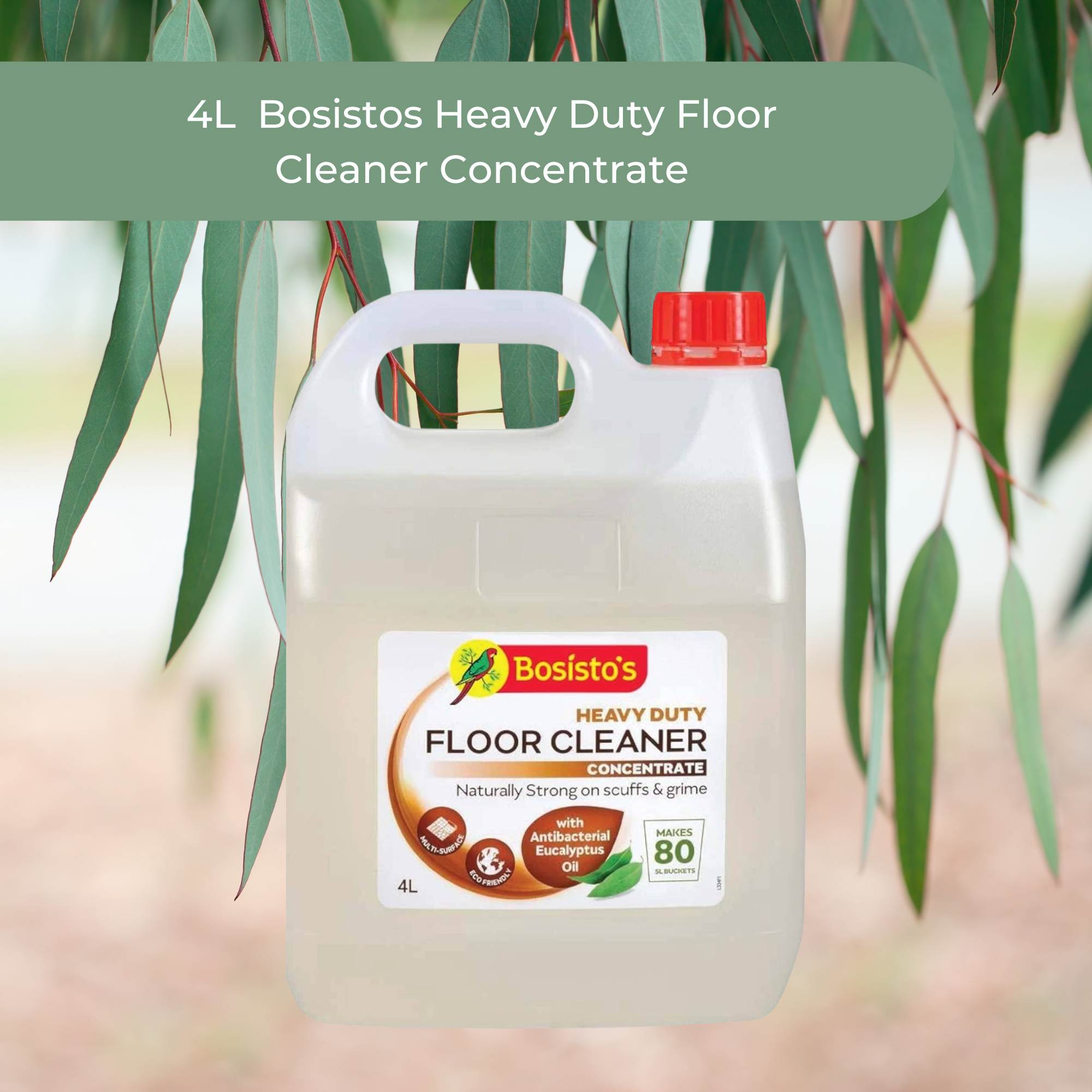 4L Floor Cleaner Concentrate Bosistos Heavy Duty Surface Cleaning Eucalyptus Oil