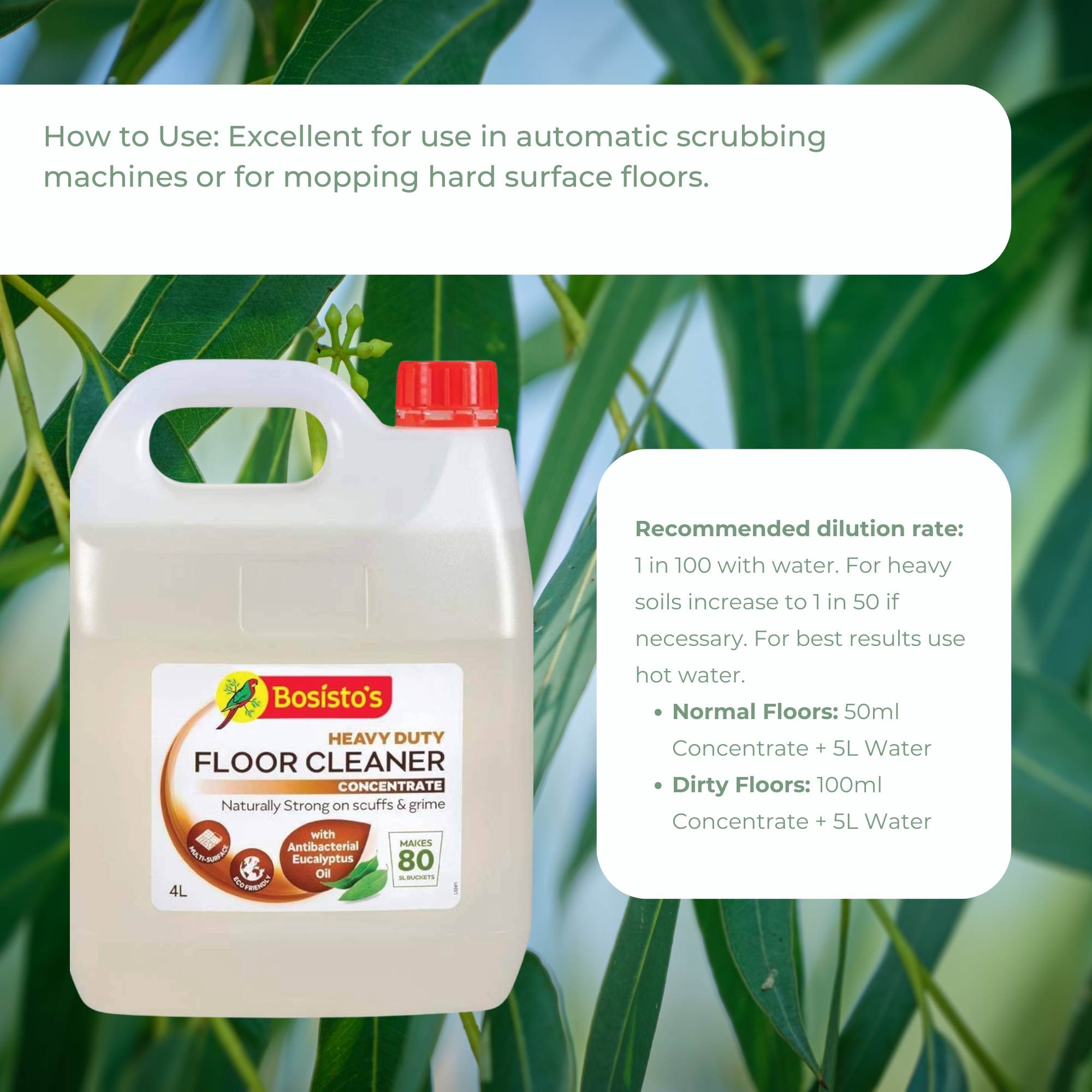 4L Floor Cleaner Concentrate Bosistos Heavy Duty Surface Cleaning Eucalyptus Oil