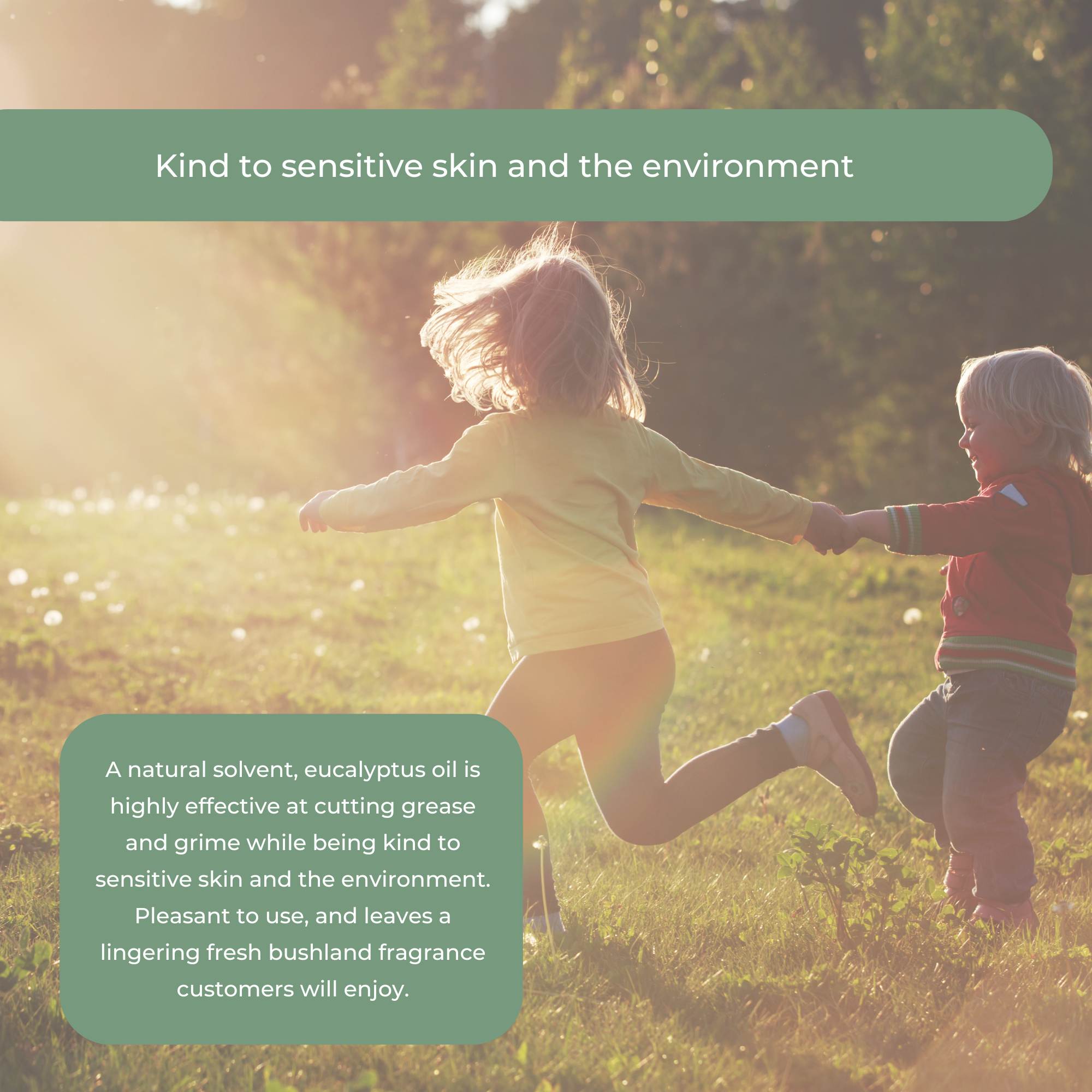 4L Floor Cleaner Concentrate Bosistos Heavy Duty Surface Cleaning Eucalyptus Oil