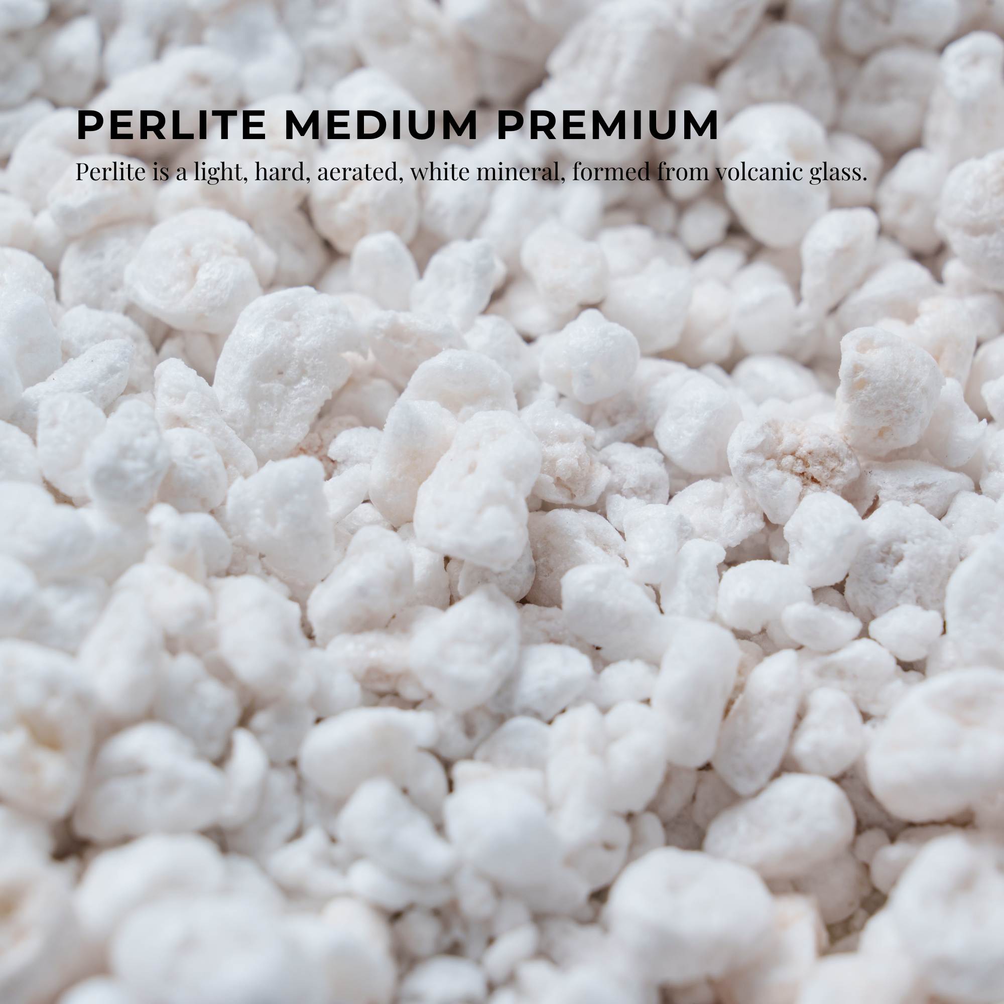 Expanded perlite granules, small white aerated growing media for plants