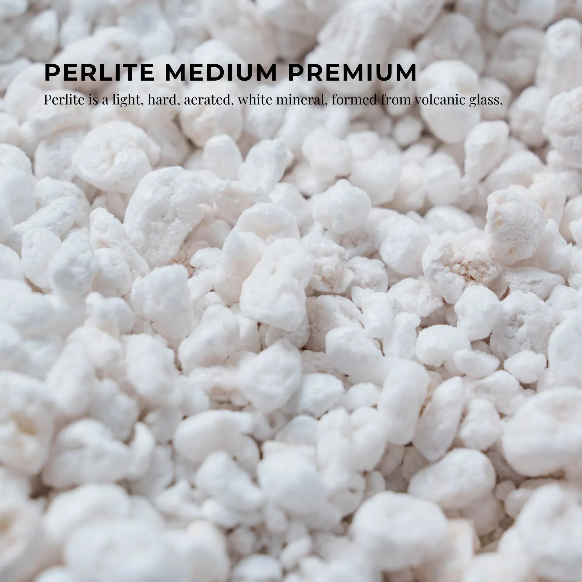100L Perlite Medium Premium Soil Expanded Plant Growing Media Plants Hydroponics Bedworld