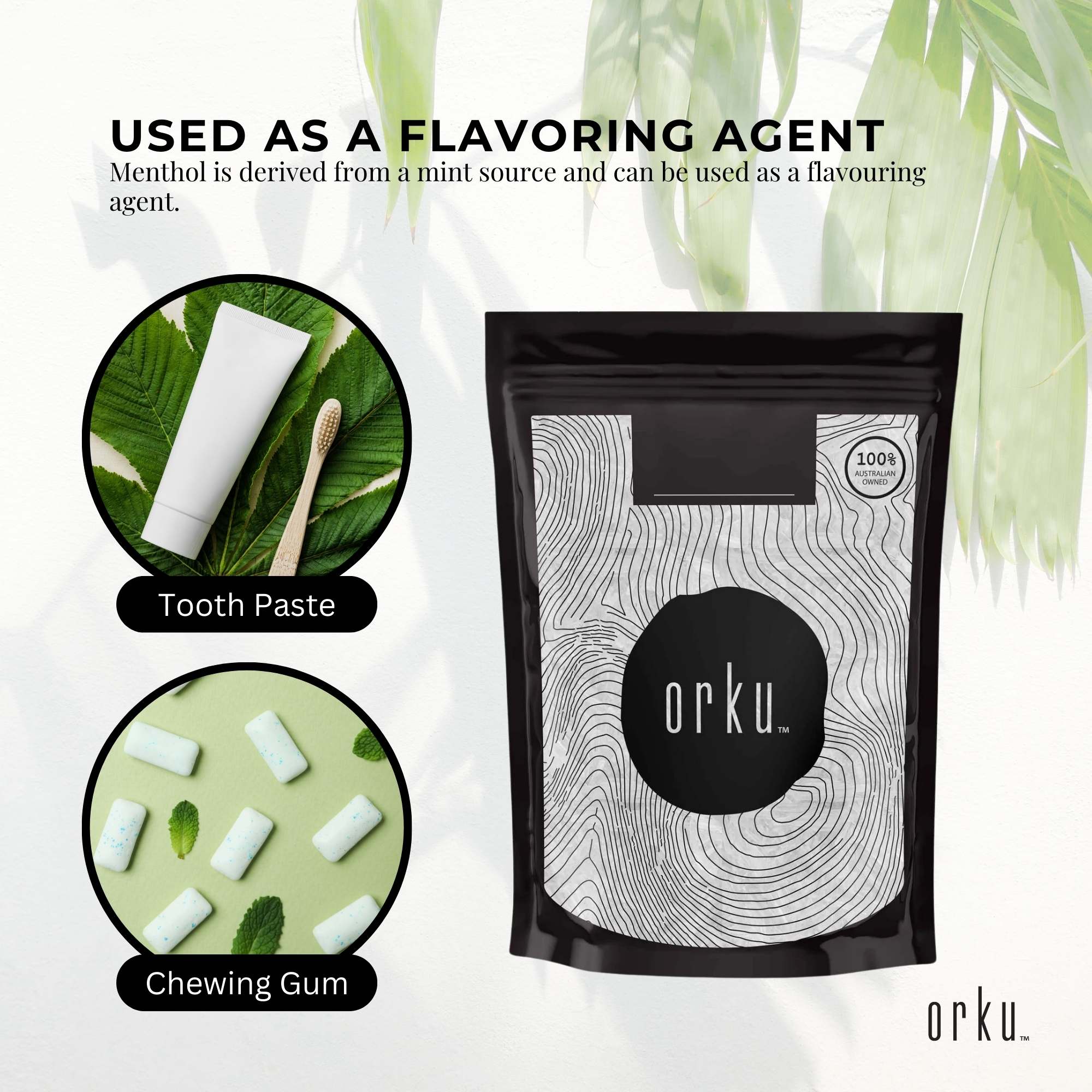 Orku 10g Menthol Crystals - USP Grade L-Menthol Mint Flakes C10H200