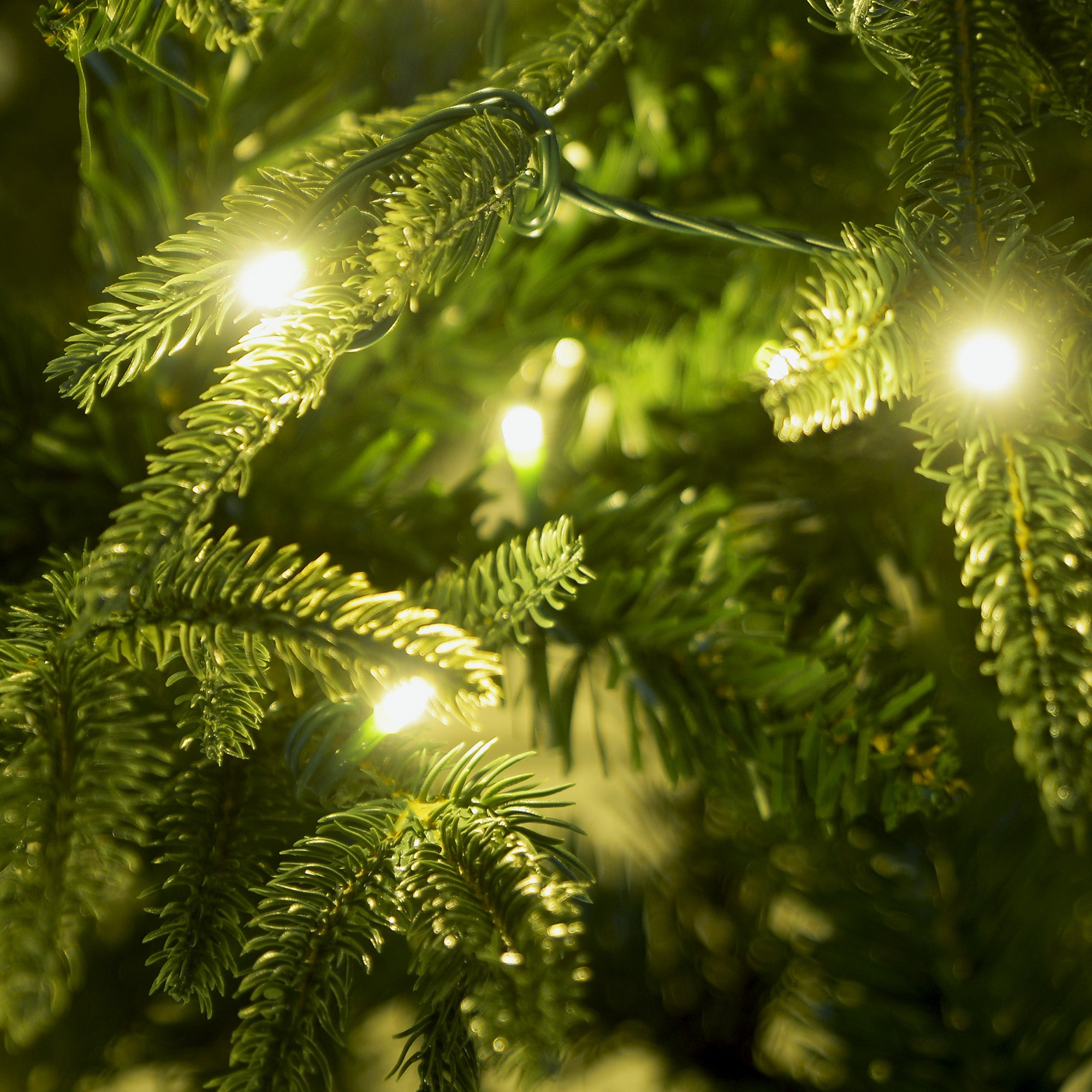 Close-up of warm LED lights on prelit Christmas tree branches