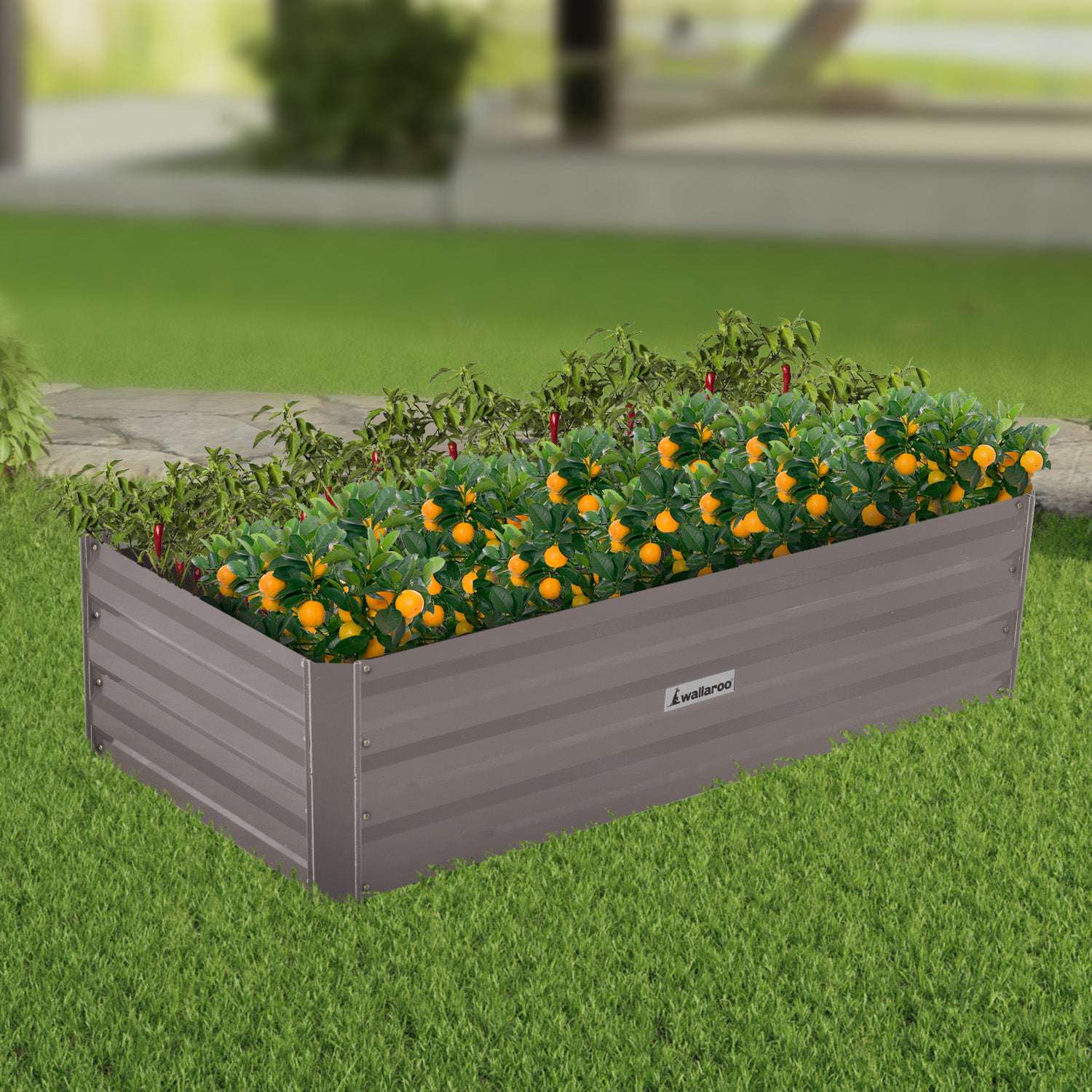 Wallaroo Garden Bed 120
